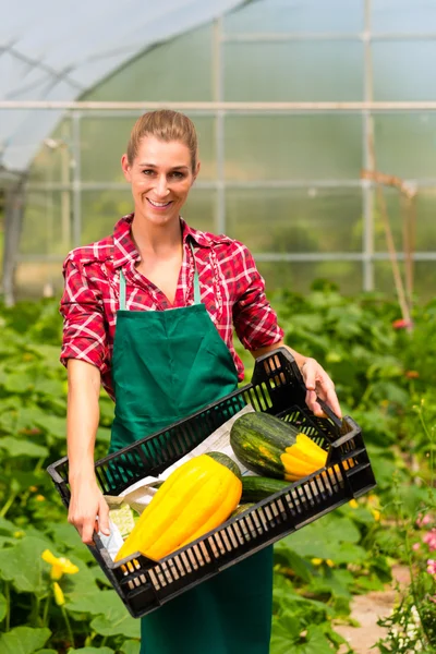 Jardinero femenino en jardín de mercado o vivero — Foto de Stock