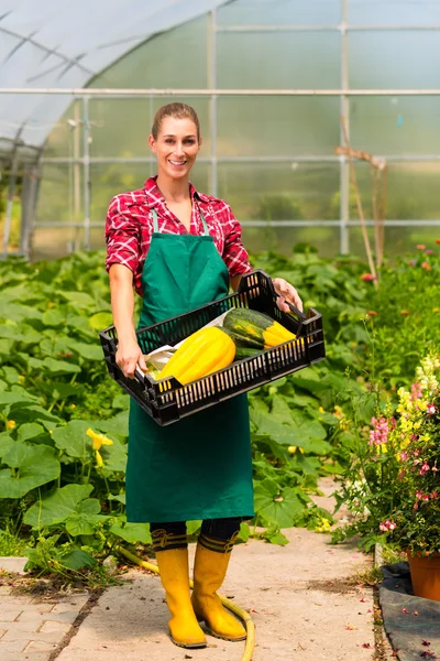 Jardinero femenino en jardín de mercado o vivero —  Fotos de Stock