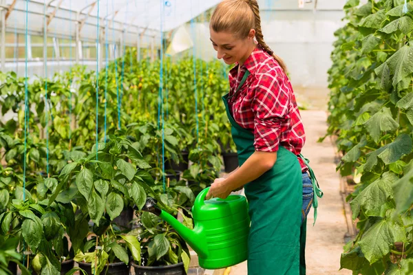 Jardineiro feminino no mercado jardim ou berçário — Fotografia de Stock
