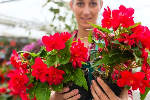 Tuinman in haar groen huis bloemenwinkel — Stockfoto