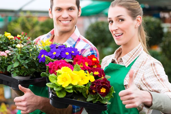 Gärtner im Marktgarten oder in der Gärtnerei — Stockfoto