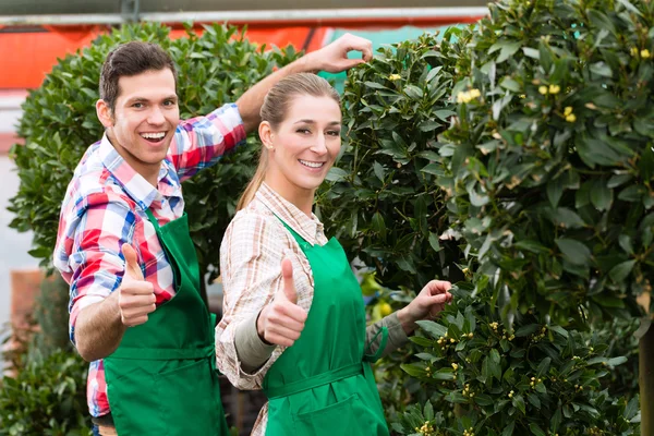 Giardiniere in giardino o vivaio — Foto Stock