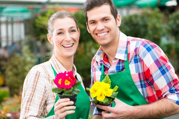 Jardinero en jardín de mercado o vivero — Foto de Stock