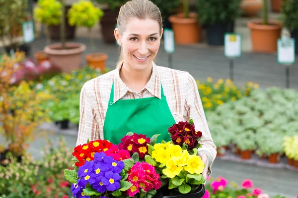 Jardinero en jardín de mercado o vivero — Foto de Stock