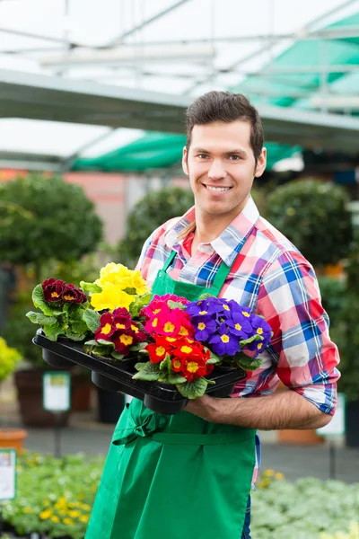 Jardinier dans le jardin de marché ou pépinière — Photo