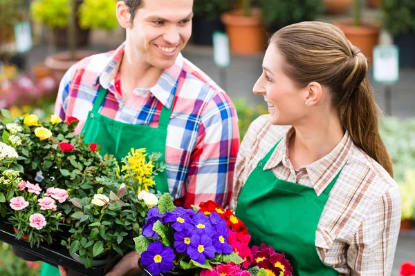 Jardinero en jardín de mercado o vivero — Foto de Stock