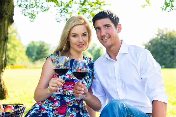 Piknik zekâ şarap çayır üzerinde sahip çift — Stok fotoğraf