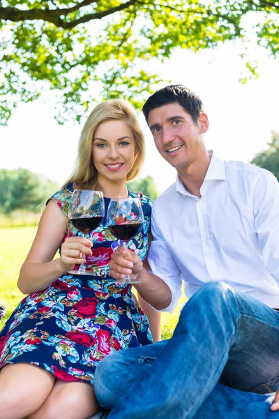 草原でピクニック ウィット ワインを持っているカップル — ストック写真