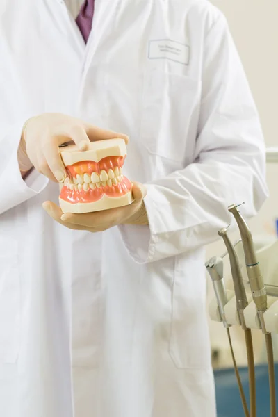 Dentist in his surgery holds a denture — Stock Photo, Image