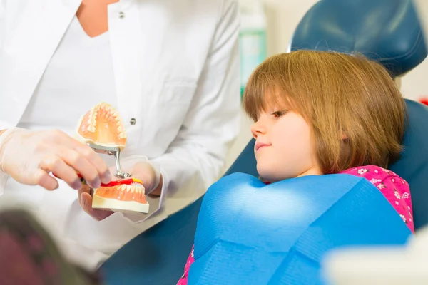 Dentiste avec brosse à dents, prothèse dentaire et petit patient — Photo