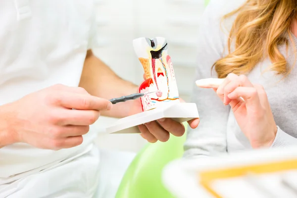 Dentiste expliquant le traitement du patient sur la dent modèle — Photo