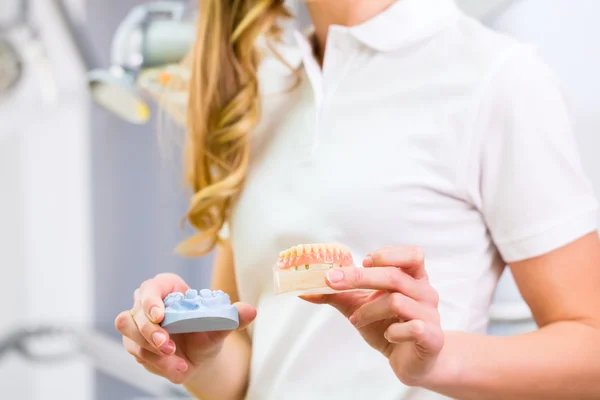 Dental technician checking denture — Stock Photo, Image