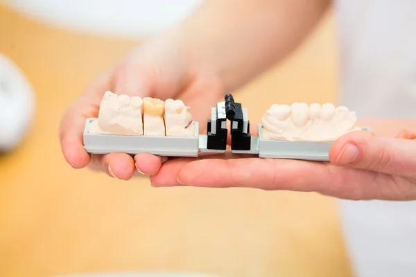 Dental technician checking denture — Stock Photo, Image