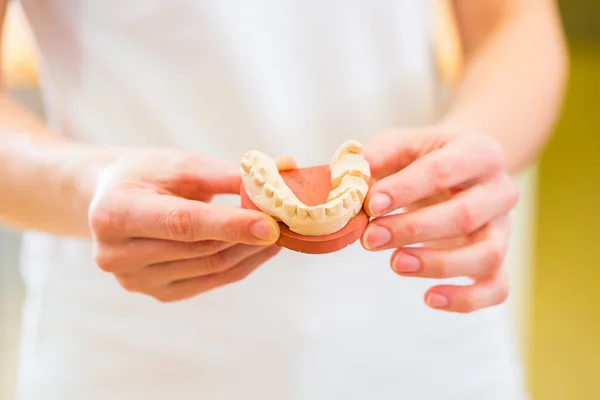 Odontoiatra che controlla la dentiera — Foto Stock