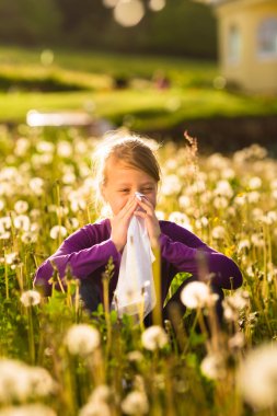 Çayır dandelions ile oturan kız ve saman nezlesi ya da anti vardır