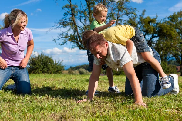 Bir çayır üzerinde oynarken çocuklu aile — Stok fotoğraf