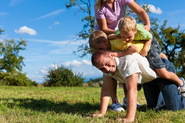 Family with children playing on a meadow — Stock Photo, Image