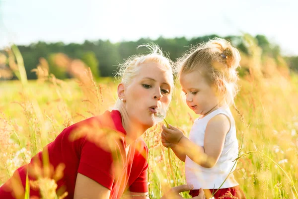 Familie Sommer - Löwenzahn Samen blasen — Stockfoto