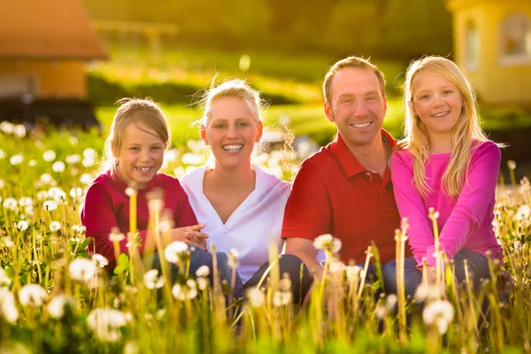 여름 풀밭에 앉아 행복 한 가족 — 스톡 사진
