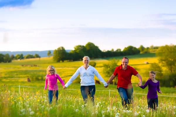 Familia feliz en el prado al atardecer — Foto de Stock