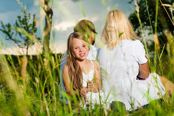 Mutlu aile çayırda oturan — Stok fotoğraf