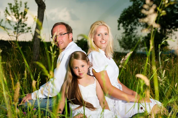 Zittend in de weide en gelukkige familie — Stockfoto