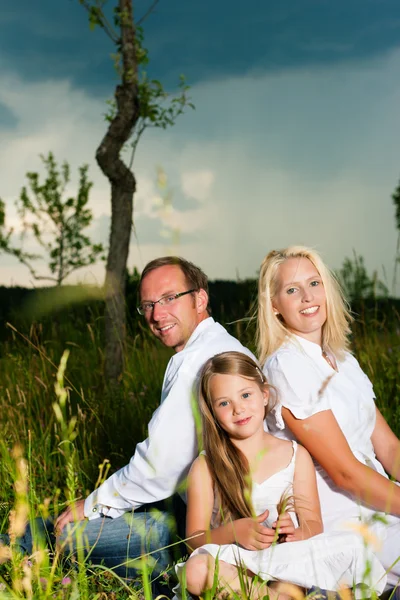 Happy family sitting in meadow — Stock Photo, Image