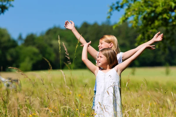 풀밭에서 행복 한 아이 들 — 스톡 사진