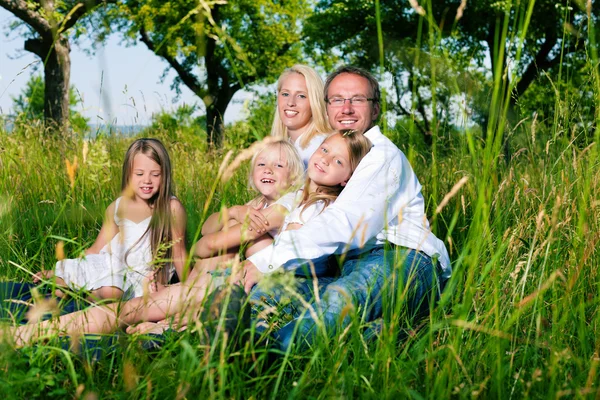 Šťastná rodina sedí v louce — Stock fotografie