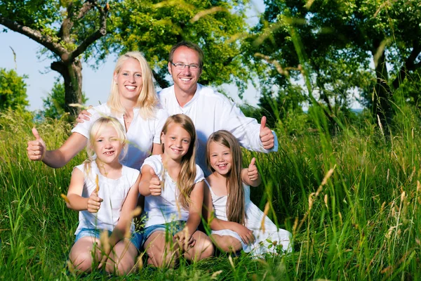 Zittend in de weide en gelukkige familie — Stockfoto