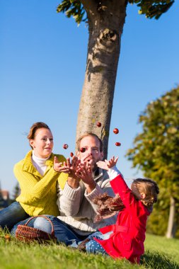 Aile Bisiklet gezisinde kestane toplama