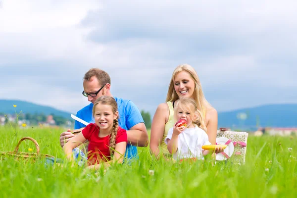 Gelukkige familie met picknick in weide — Stockfoto