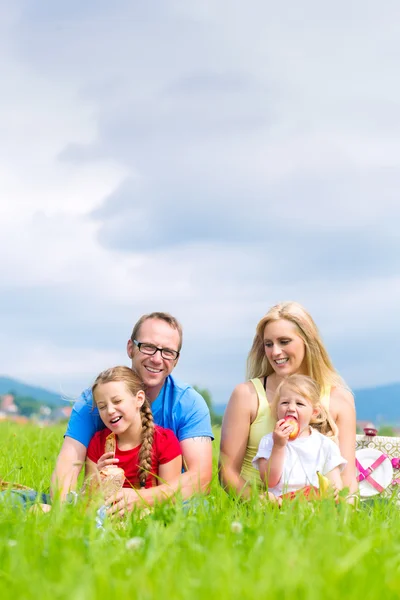 Happy family having picnic in meadow — Stock Photo, Image