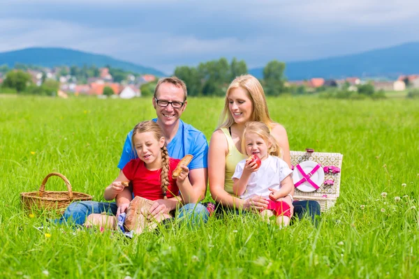 Lycklig familj ha picknick i äng — Stockfoto