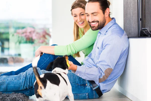 Casal sentado brincando com o cão — Fotografia de Stock