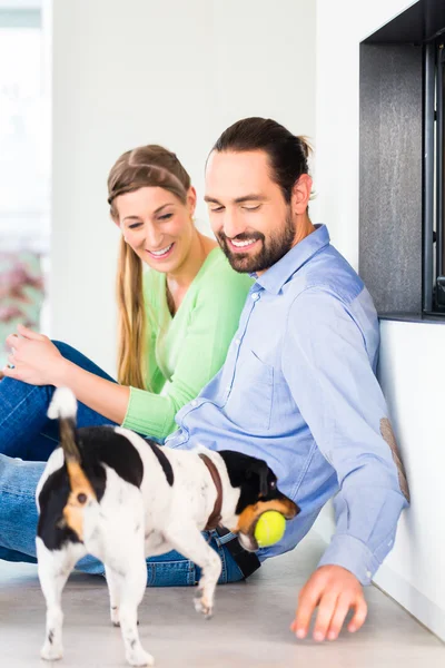 Couple assis jouant avec le chien — Photo