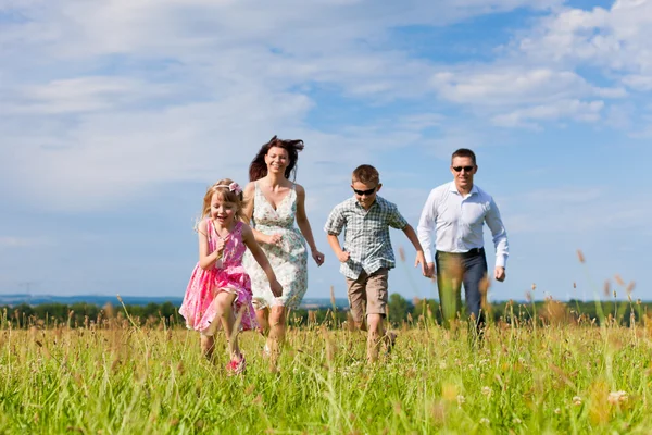 Glückliche Familie im Sommer auf einer Wiese — Stockfoto