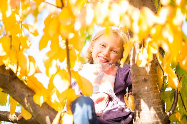 Μικρό κορίτσι ή παιδί στο δέντρο στο πολύχρωμο φθινόπωρο ή πτώση — Φωτογραφία Αρχείου