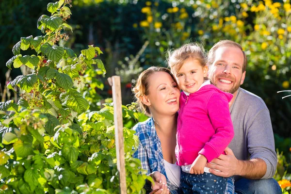 Familia en jardín con cesta —  Fotos de Stock