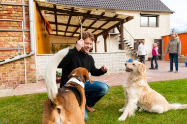 Genç adam ile onun köpekleri bahçesinde oynarken