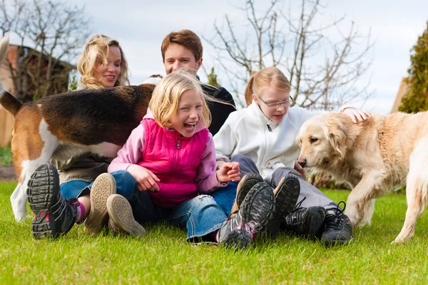 Köpeklerle birlikte bir çayır üzerinde oturan aile — Stok fotoğraf