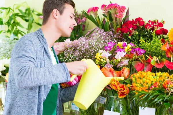 Florist bekerja di toko bunga menyiram tanaman — Stok Foto