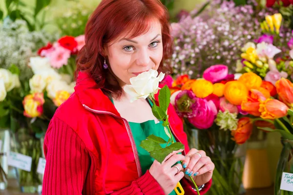 Florista trabalhando em loja de flores — Fotografia de Stock