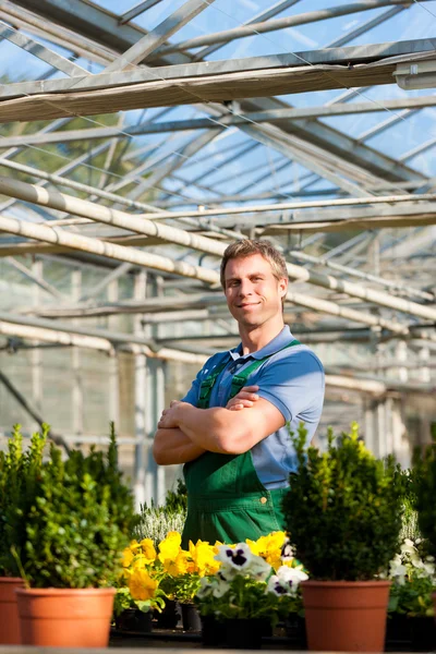 Tuinman in markt tuin of kwekerij — Stockfoto