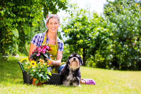 Kvinna i trädgård med blommor och hund — Stockfoto