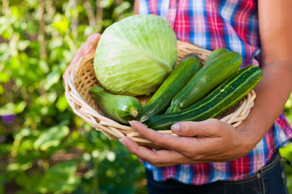 Trädgårdsskötsel i sommar - kvinna med grönsaker — Stockfoto