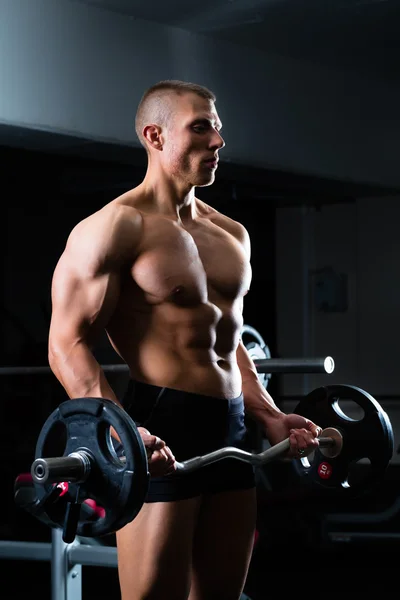 Dumbbell training in gym — Stock Photo, Image