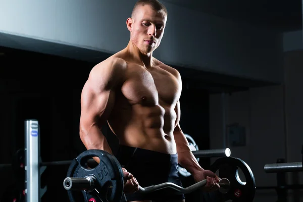 Kurzhanteltraining im Fitnessstudio — Stockfoto