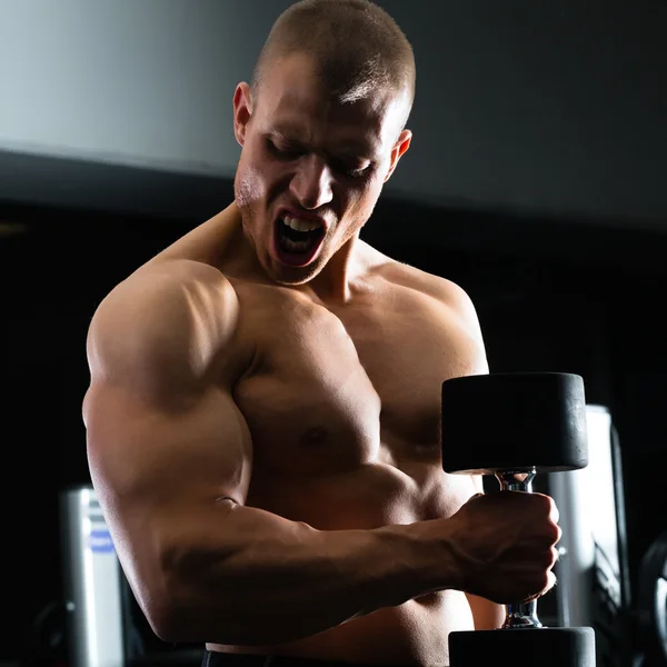 Homem em Dumbbell formação em ginásio — Fotografia de Stock