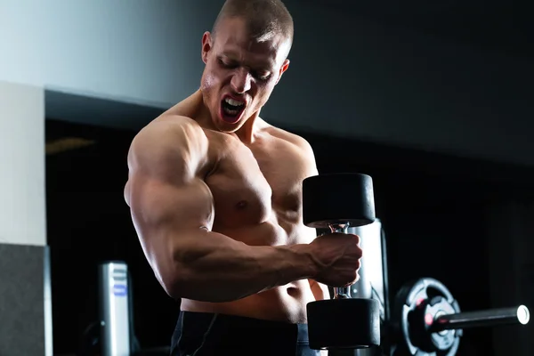 Hombre en el entrenamiento Dumbbell en el gimnasio —  Fotos de Stock